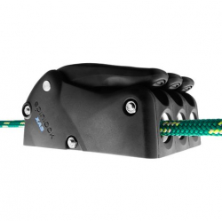 Spinlock XAS